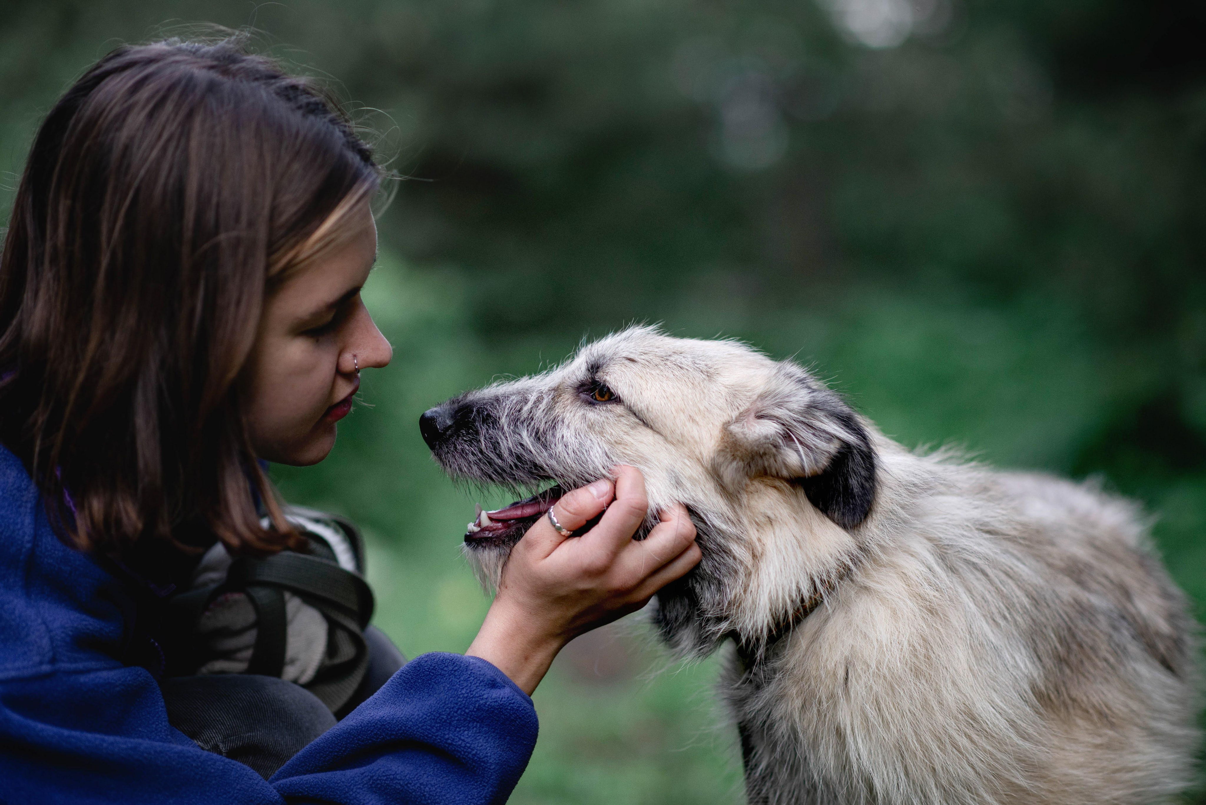 фото девушки и собаки